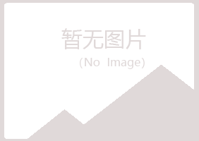 麻山区依赖服务有限公司